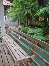ติดเกาะช้างที่ โรงแรม Nature beach 