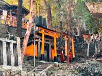 @ FUSHIMI INARI TAISHA IN KYOTO.