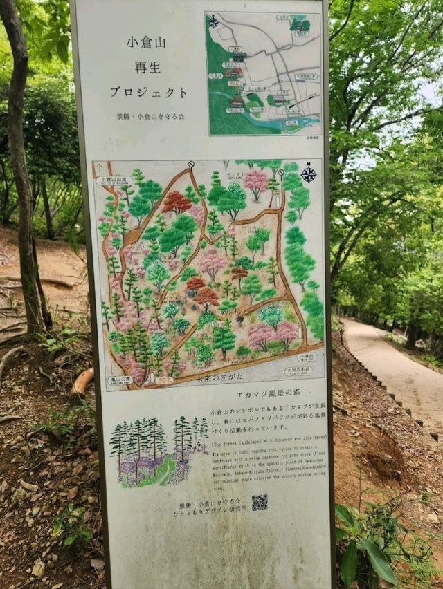 @ ARASHIYAMA IN KYOTO.
