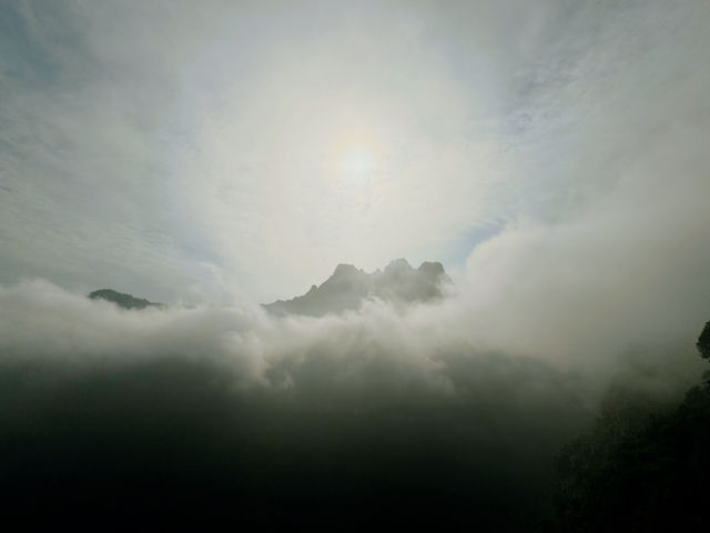 張家界遊天門山篇🏞️