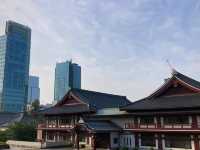 東京 増上寺 🏯🌸