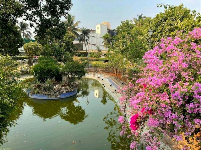 Jogger's Park