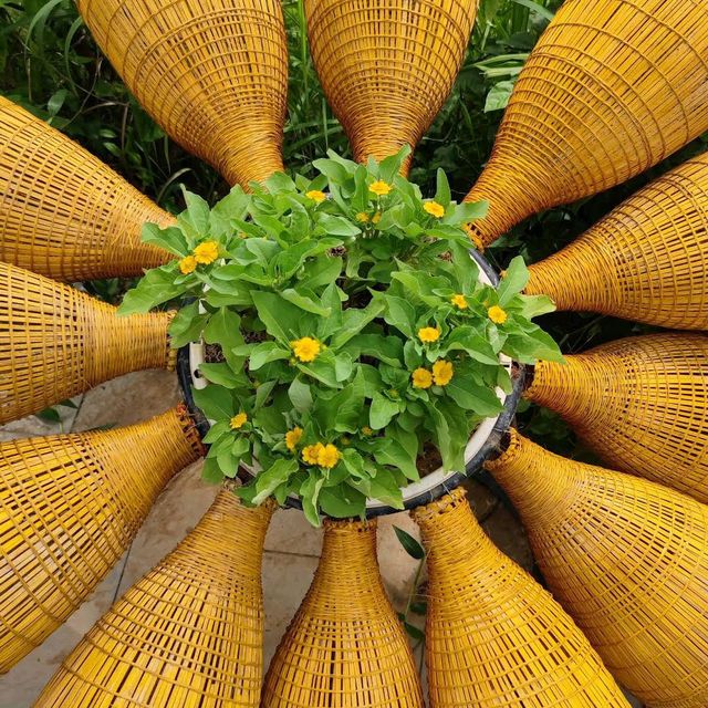 Thung Nham Bird Park (Ninh Binh)
