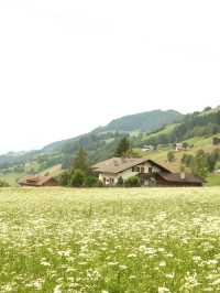 Val di Funes หนึ่งในหุบเขาที่สวยที่สุดของอิตาลี่