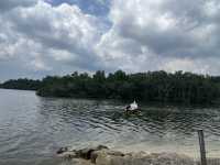 Setiawan in a Day: From Heritage to Mangrove Mischief