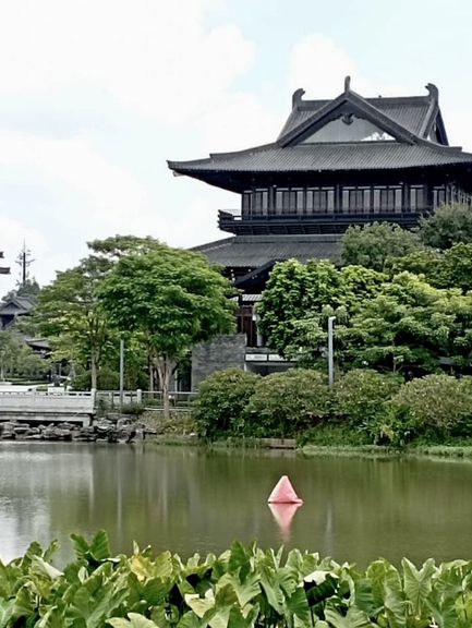 Urban Zen on Water: Paddleboarding at Haizhu Lake Park 🌆🧘‍♀️