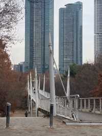 Seoul Forest เดินเล่นในหน้าหนาว🇰🇷