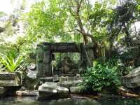  Jungle River Cruise