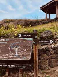 A Gentle Hike with Rewarding Coastal Scenery