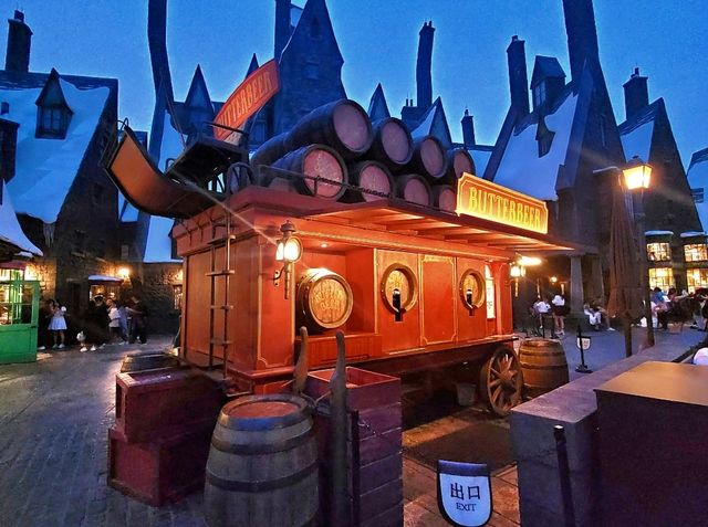 Snowy Nights & Butterbeer Delights in Hogsmeade