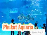 Phuket Aquaria
