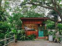 คาเฟ่นนทบุรีสุดกรีน