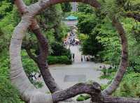 The time honored Ueno Toshogu shrine