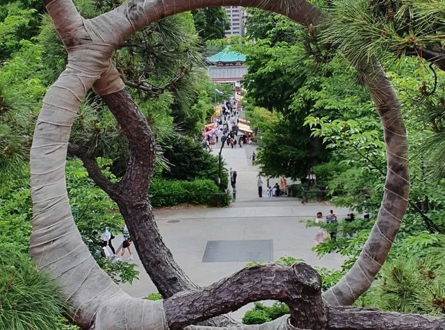 The time honored Ueno Toshogu shrine