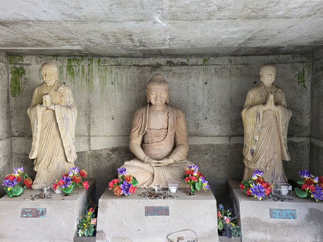 北海道真駒內靈園：薰衣草環繞的巨佛之境