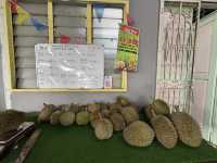 🌳 Hidden Gem in the Hills: 838 Durian Balik Pulau