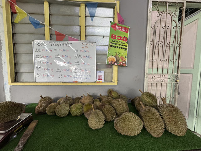 🌳 Hidden Gem in the Hills: 838 Durian Balik Pulau
