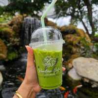 🌿🍽️ Monstera Cafe’ & Restaurants