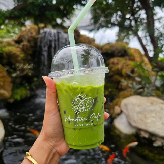 🌿🍽️ Monstera Cafe’ & Restaurants