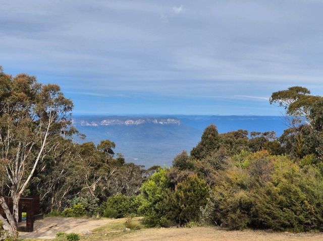 Amazing Blue Mountains 