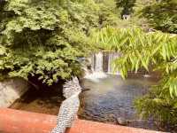 ⛩️ 絕景寺廟大挑戰！三德山三佛寺⚠️ 還有谷川天狗堂豆腐咖啡！
