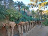 Wandering Through Park Güell