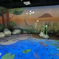 免費親子好去處☺️ 綠適都市Green Liveable City