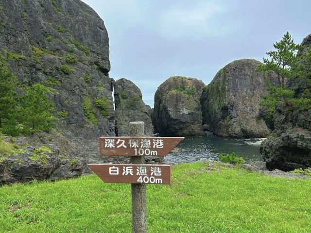 Tanesashi Coast: Where the Ocean Meets Serenity 🌊🌸