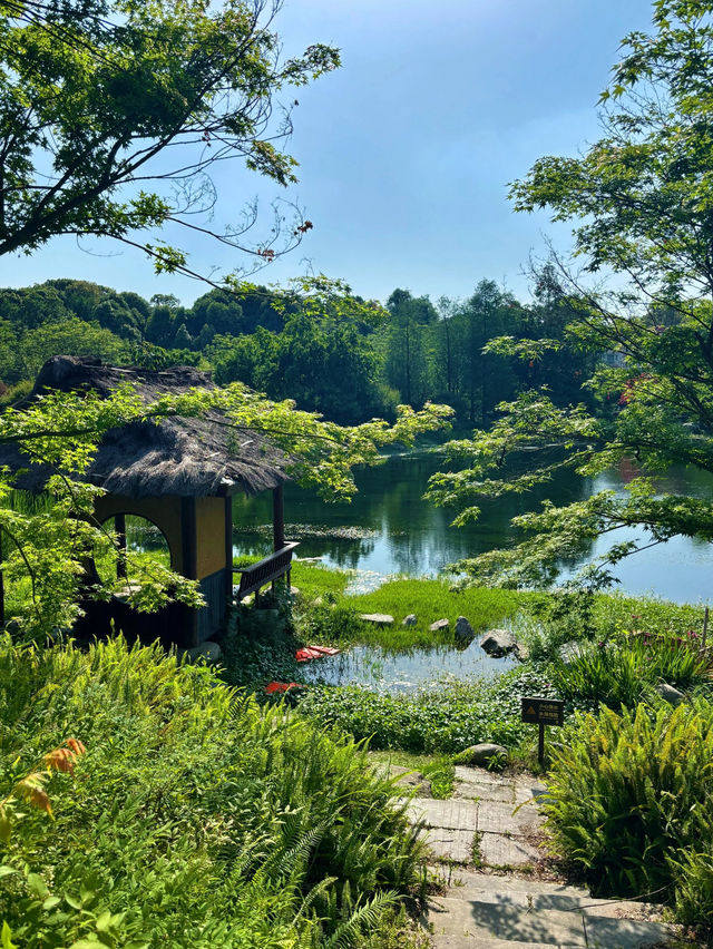 Huanhuaxi Park 🚲 