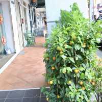 レトロとモダンが交差する、色彩の宝箱「Katong」へ🇸🇬