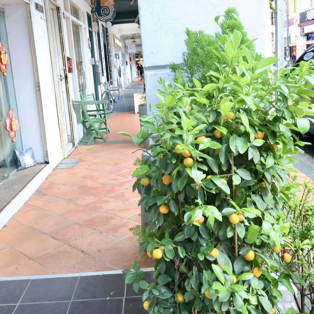 レトロとモダンが交差する、色彩の宝箱「Katong」へ🇸🇬