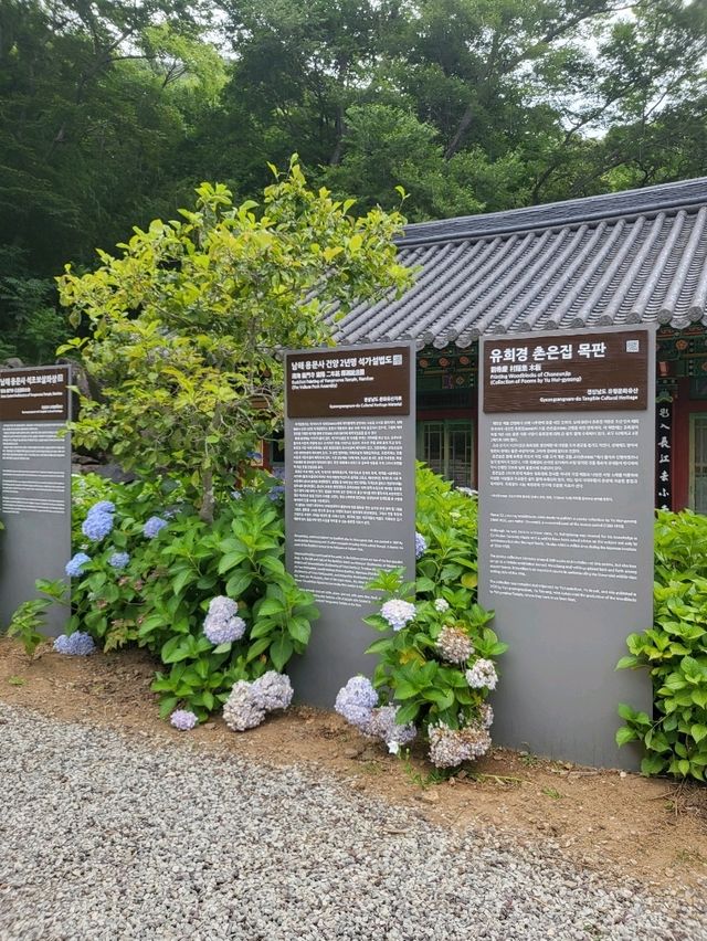 비오는날 수국을 볼수있는 남해 사찰