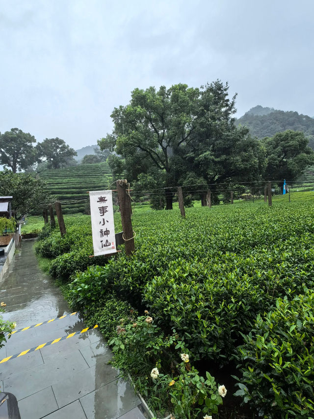 Meijiawu 🍃 