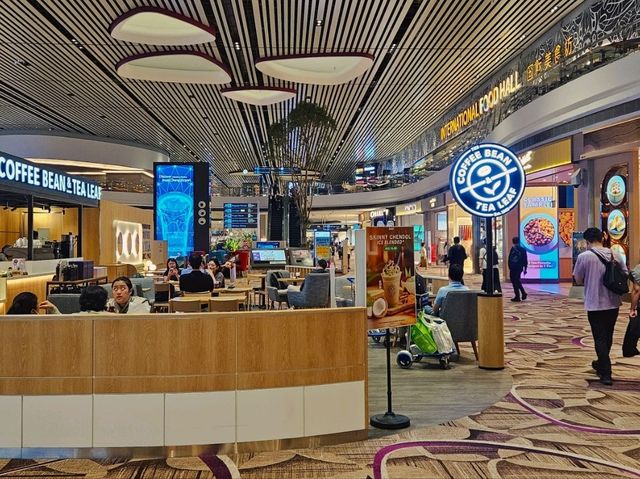 I visited the best airport in the world, Changi Airport