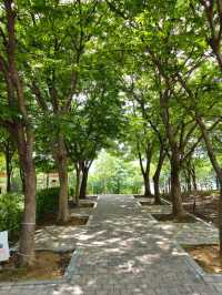 인천대공원 호수광장