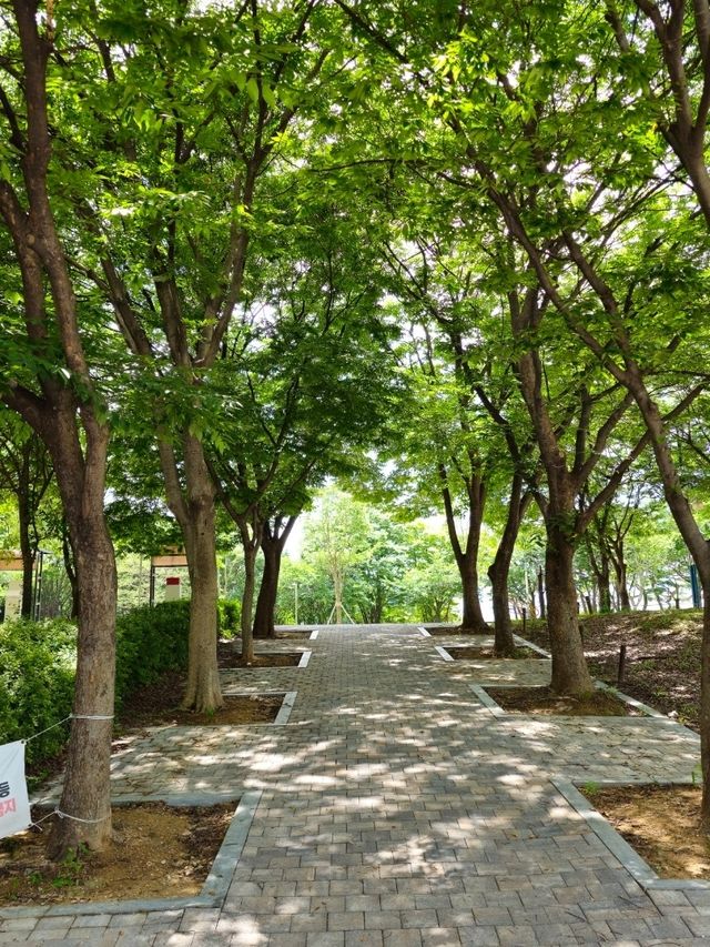 인천대공원 호수광장
