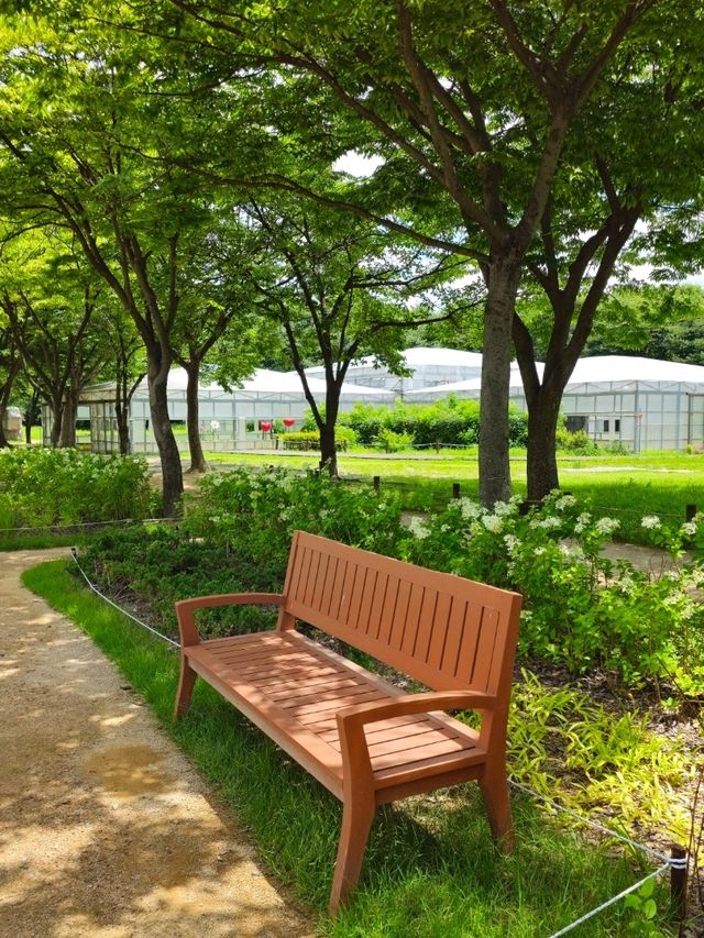 인천대공원 산책로