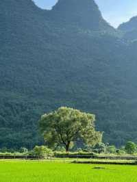 Nature’s Masterpiece: Exploring Yangshuo