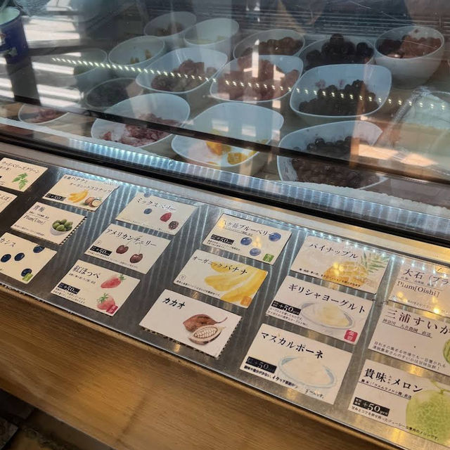 【東京/吉祥寺🇯🇵】フローズンヨーグルト専門店🥛ウッドベリーズ