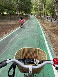 Chatuchak Park สวนจตุจักร