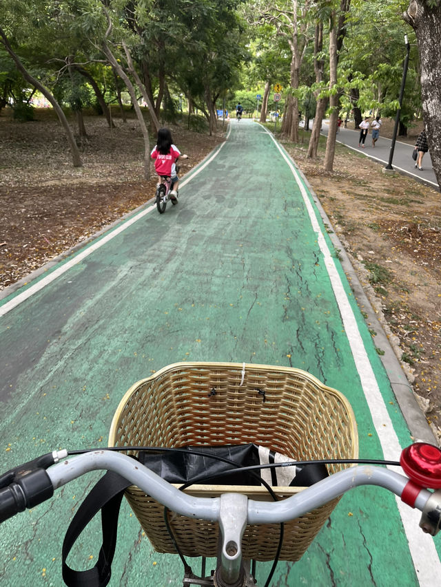 Chatuchak Park สวนจตุจักร