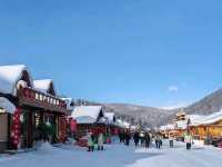 Snow Town: A Winter Fairy Tale