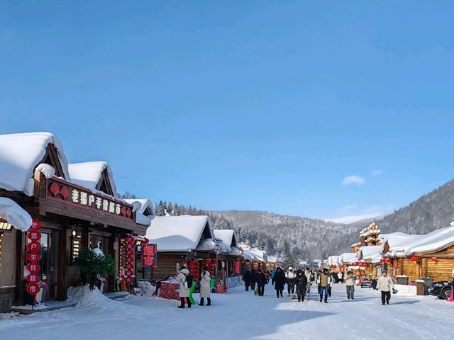 Snow Town: A Winter Fairy Tale