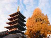 Senso-ji Temple