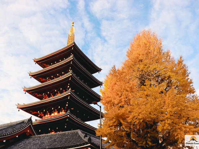 Senso-ji Temple