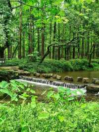 Where Nature’s Beauty Meets Timeless Poetry