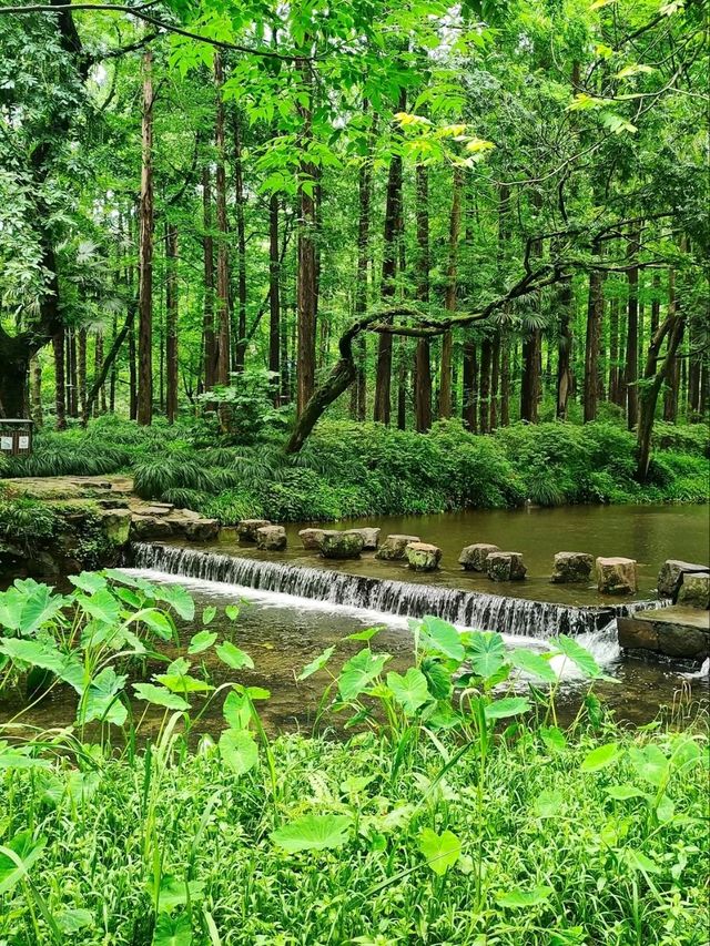 Where Nature’s Beauty Meets Timeless Poetry
