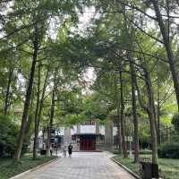 🎋 Chengdu People’s Park 成都人民公园 | A Window into Local Life