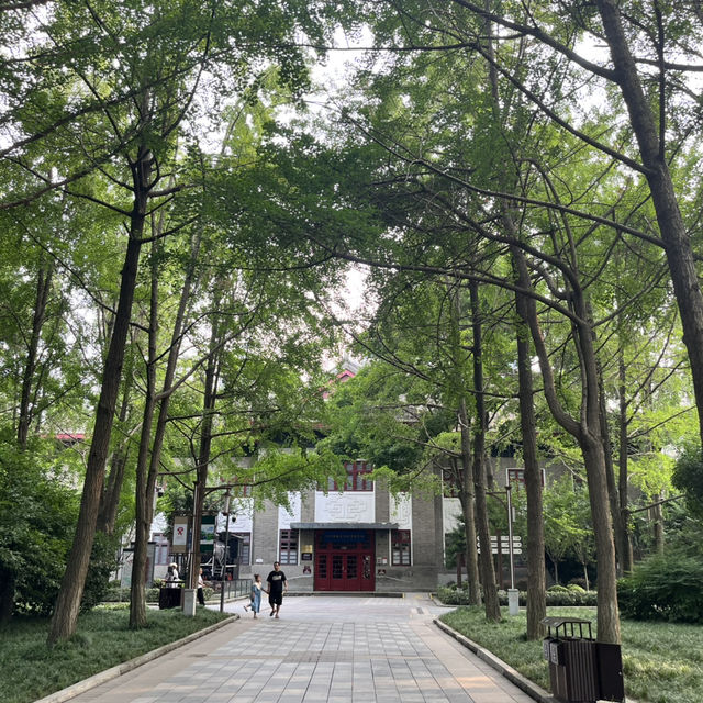 🎋 Chengdu People’s Park 成都人民公园 | A Window into Local Life
