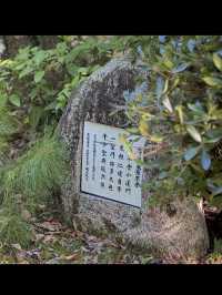 【多久聖廟】日本最古の孔子廟で、静寂と知の旅へ📚⛩️